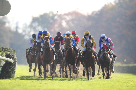 SWK-Familienspaß/ Herzog von Ratibor-Rennen